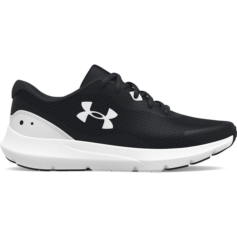 Ua Bgs Surge 3