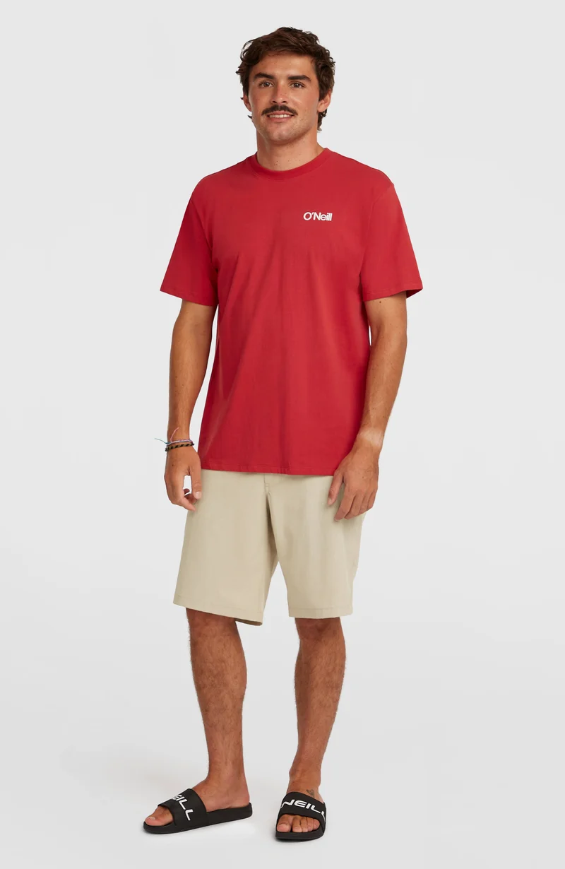 Hybrid 19'' Melange short | Cocoa Sand