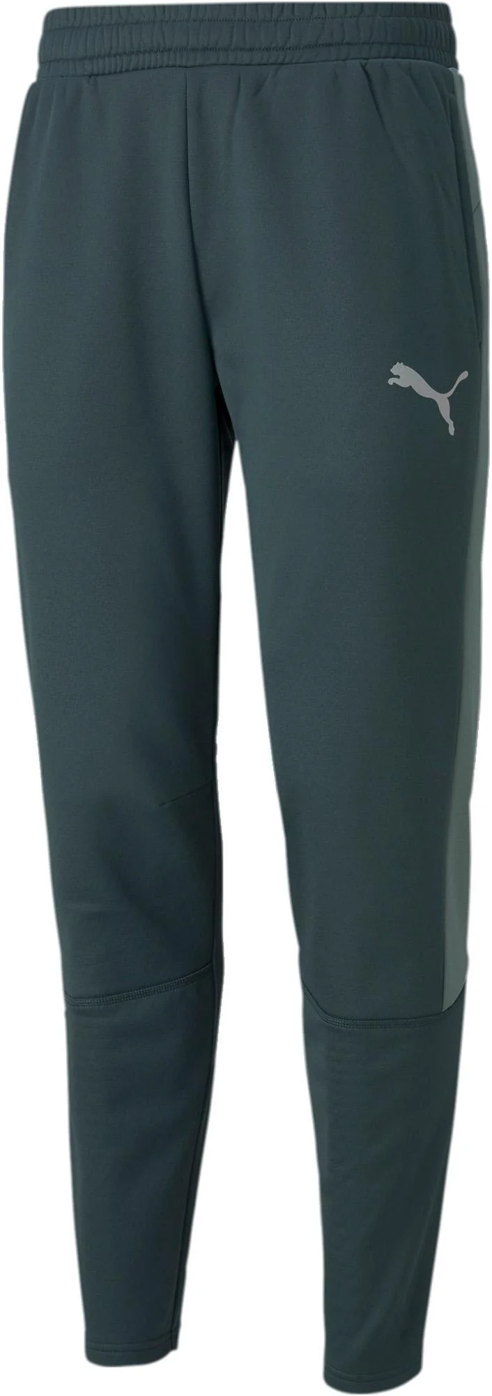 Evostripe Warm Pants